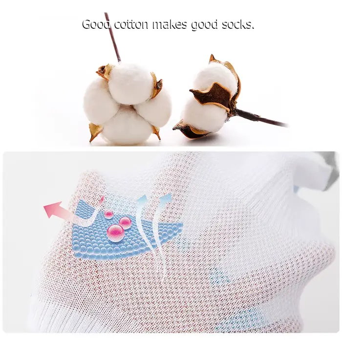 Chaussettes en coton biologique pour hommes