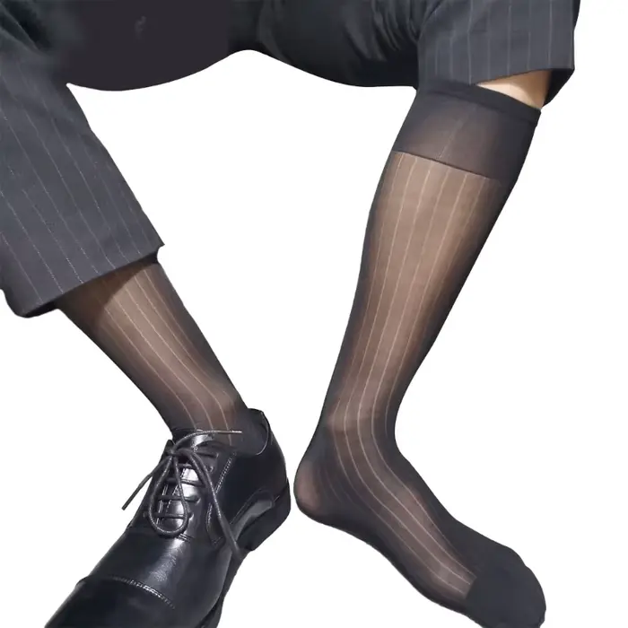 Chaussettes fines en soie pour hommes, chaussettes d'affaires transparentes, en Nylon doux, pour pan