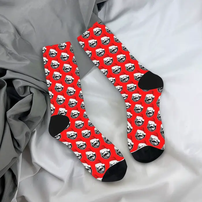 Chaussettes imprimées Santa Karl Marx, bas décontractés pour adultes et hommes, chaussettes de sport