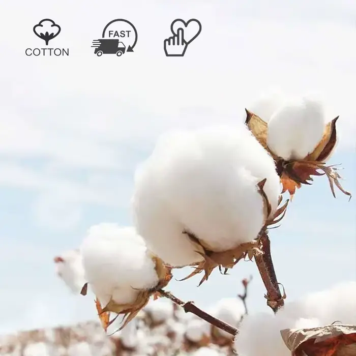 Chaussettes à orteils en coton pour hommes