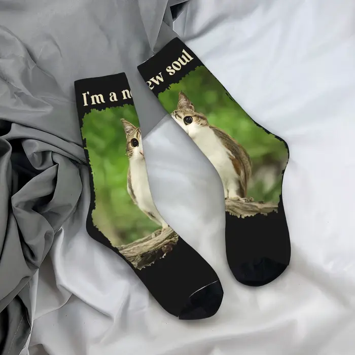 Chaussettes unisexes pour hommes, drôles Meowl Meme chat hibou Meme Brainrot Gen, bas d'hiver Haraju
