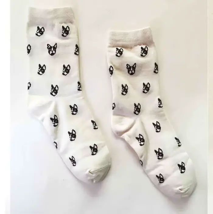 Chaussettes pour animaux Caramella, saucisse, chien, teckel, Ido hvalp hush pup AIN Huisdier, animal