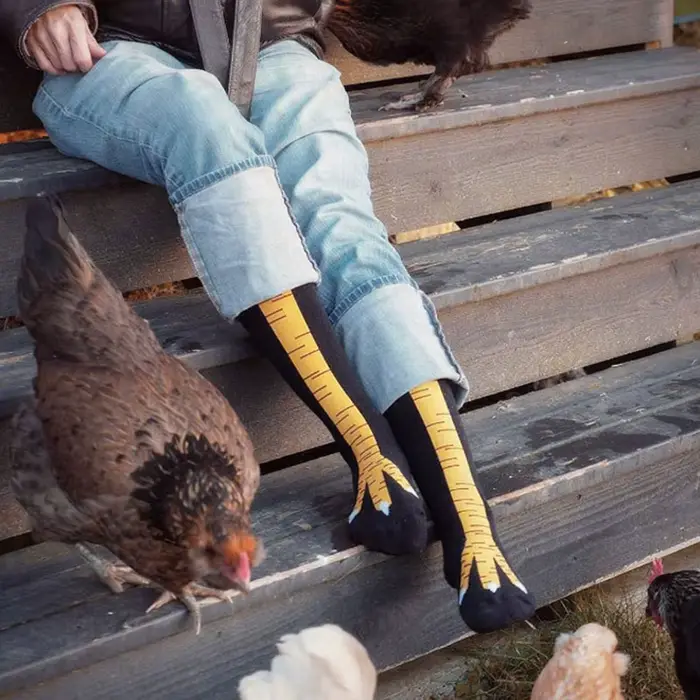 Chaussettes de jambe de poulet pour femmes